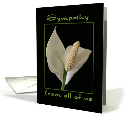 Sympathy from all of Us Peace Flower card (1117120)