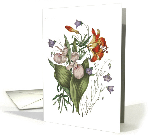 Bouquet - Blank card (115673)