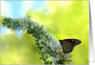 Butterfly on Butterfly Bush card