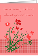 Sorry - Divorce