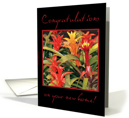 Congratulations on your new home! card (169824)