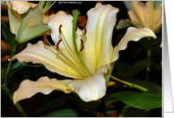 White Flower - Blank card