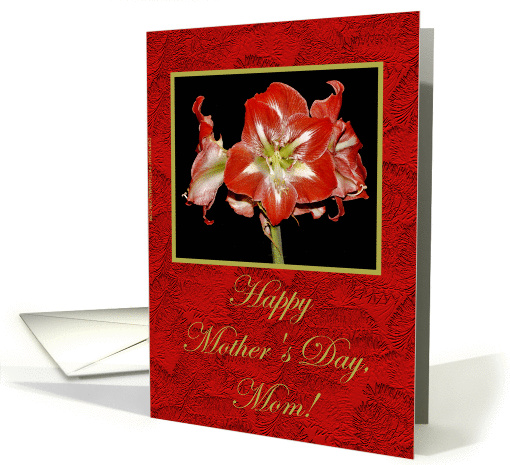 Happy Mother's Day, Mom! -- Red Flower card (172673)