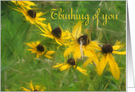 Thinking of you card