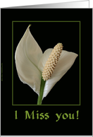 I Miss You Peace Flower card