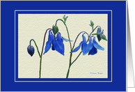 Blue Columbine Note Card