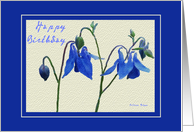 Happy Birthday Blue Columbine card