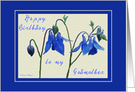 Happy Birthday to my Godmother - Blue Columbine card