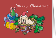 Merry Christmas Dog card