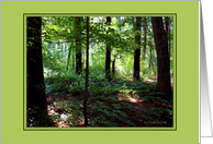 Trees Notecard card