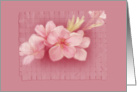 Pink Flowered Notecard card