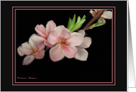 Pink Flowered Notecard card