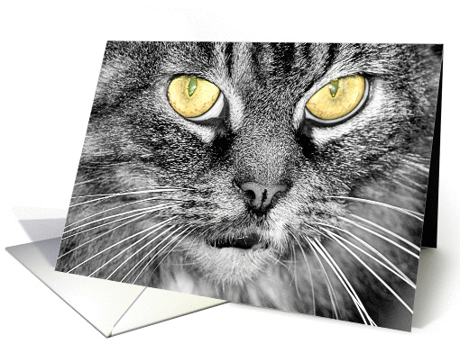 B & W Green-Eyed Cat card (301720)