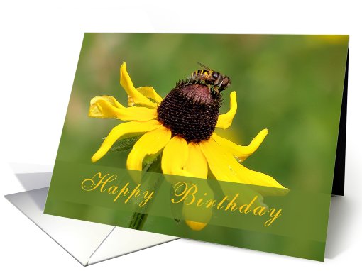 Happy Birthday - Flower & Bee card (316322)