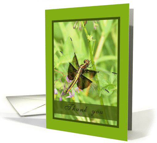 Thank you- Dragonfly card (316861)