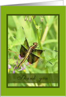 Thank you- Dragonfly