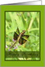 Happy Birthday- Dragonfly card