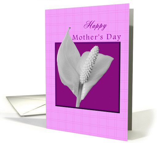 Happy Mother's Day Peace Plant card (375316)