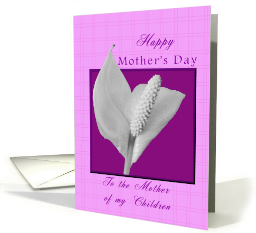 Mother's Day for the Mother of my Children Peace Plant card (375955)