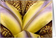 Flower card
