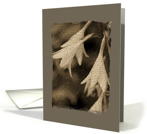 Hosta Flowers card (391792)