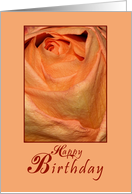 Happy Birthday Peach Rose card