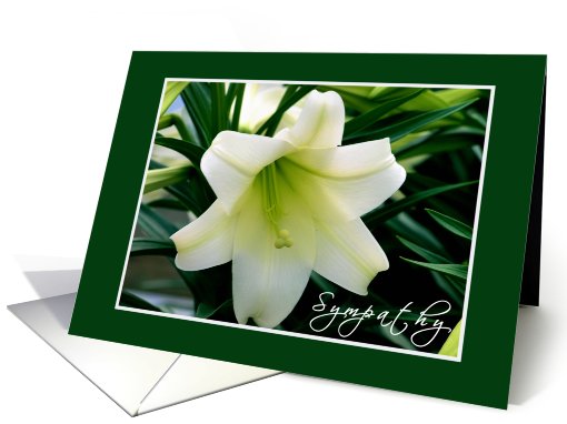 Sympathy White Lily card (503852)