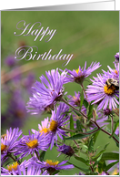 Happy Birthday - Purple Flowers card