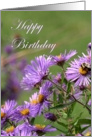 Happy Birthday - Purple Flowers card