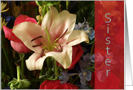 Encouragement - Sister- Floral card