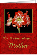 Sympathy - Mother card