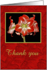 Thank You - Sympathy card