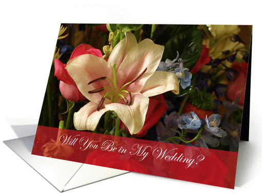 Will You be in my Wedding? card (613210)