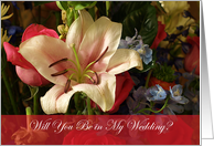 Will You be in my Wedding? card