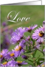 Love for Girlfriend - Purple Flowers card
