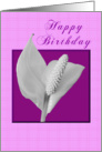 Happy Birthday - Peace Plant card