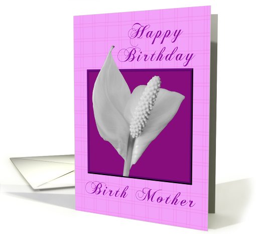 Birth Mother Happy Birthday - Peace Plant card (631065)