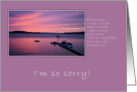 I’m So Sorry- Seaside Sunset card