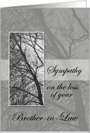 Loss of Brother-in-Law Sympathy card
