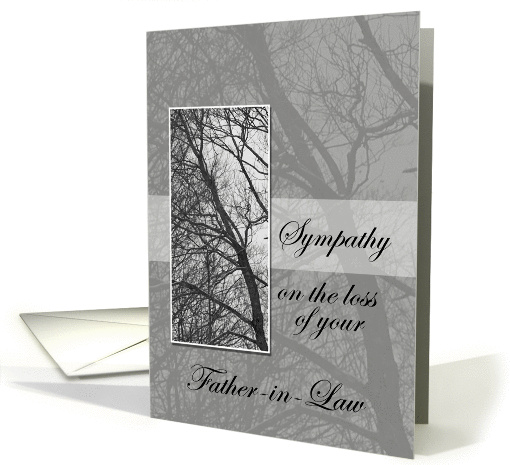 Loss of Father-in-Law Sympathy card (649859)