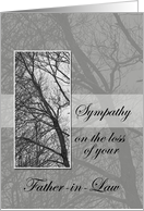 Loss of Father-in-Law Sympathy card