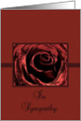 Sympathy Rose card