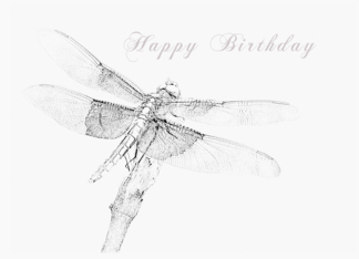Dragonfly Happy...