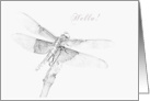 Hello, Dragonfly card