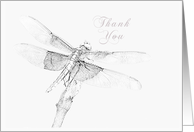 Thank You Dragonfly card