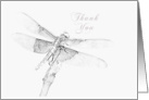 Thank You Dragonfly card