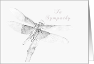 In Sympathy, Dragonfly card