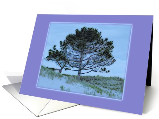 Tree on Beach card (658055)