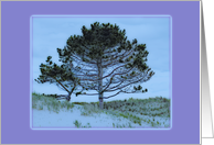 Tree on Beach card