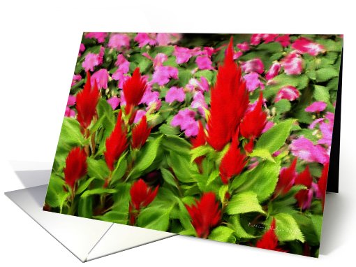 Summer Garden card (662810)